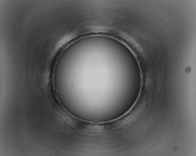 X0000102231261200807251227