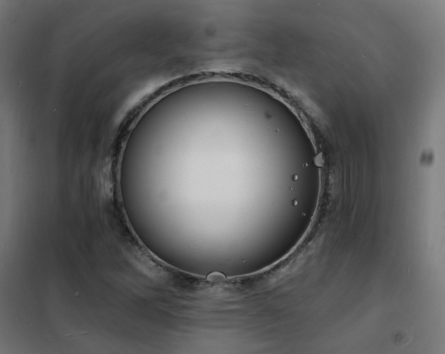 X0000102231262200807251227