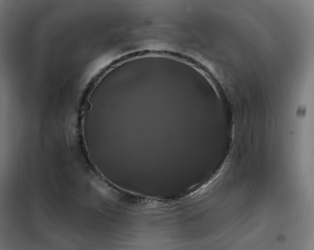 X0000102231263200807251227