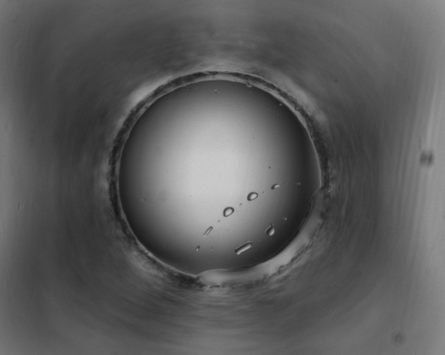X0000102231264200807251227