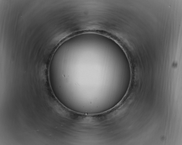 X0000102231265200807251226