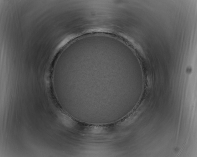 X0000102231266200807251226