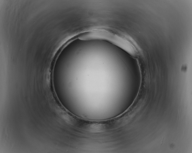 X0000102231268200807251226