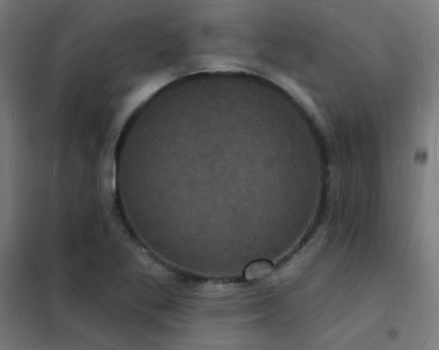 X0000102231269200807251226