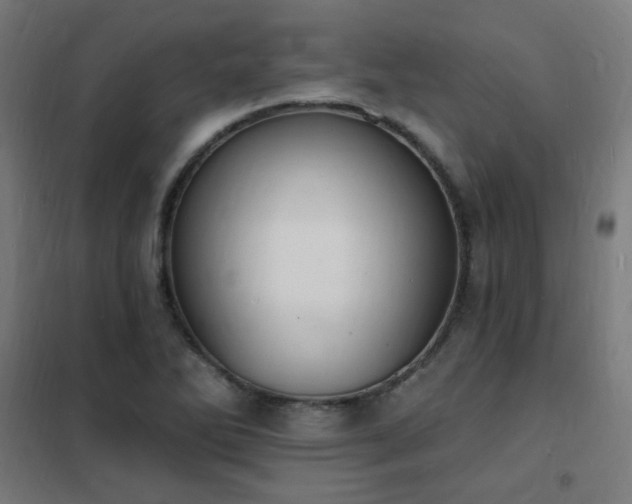 X0000102231270200807251226