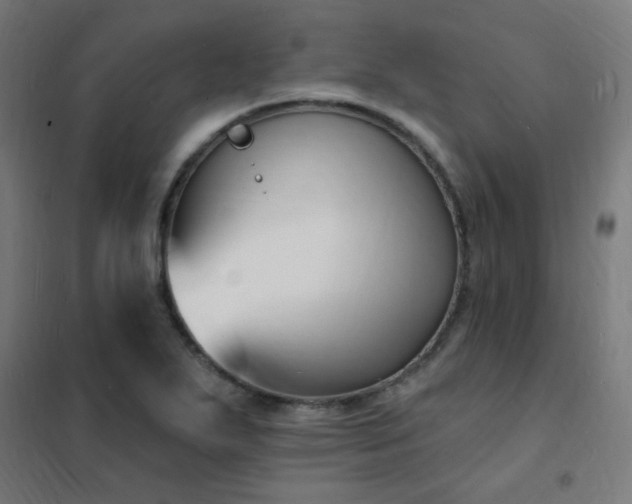 X0000102231271200807251226