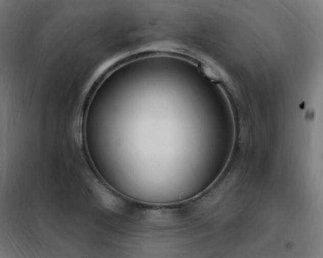 X0000102231272200807251226