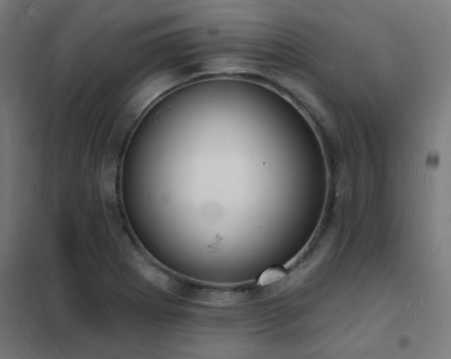 X0000102231273200807251226