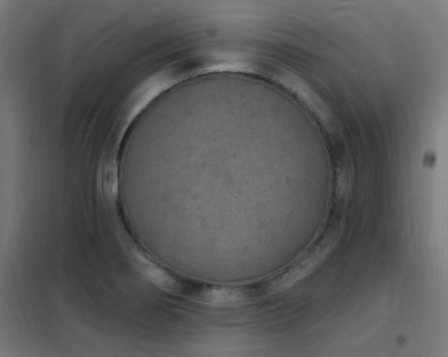 X0000102231274200807251226