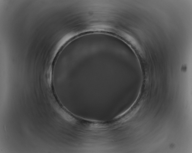 X0000102231275200807251226