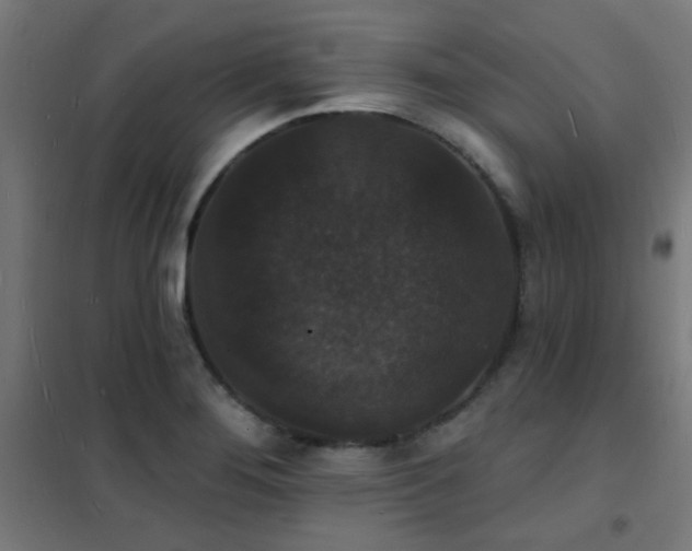 X0000102231276200807251226