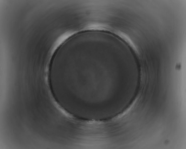 X0000102231277200807251226