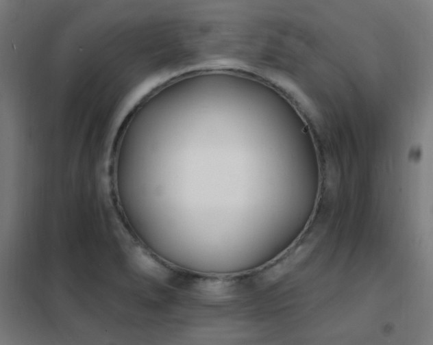 X0000102231278200807251226