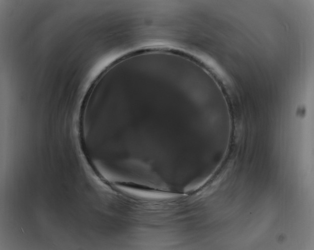 X0000102231279200807251226