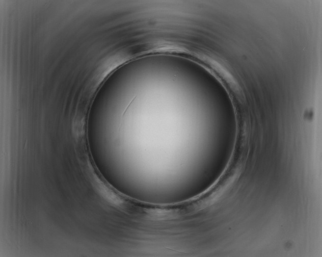 X0000102231281200807251226