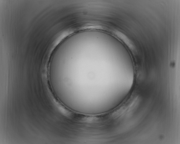 X0000102231282200807251226