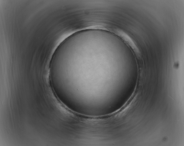 X0000102231284200807251226