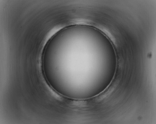 X0000102231285200807251226