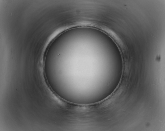 X0000102231286200807251226