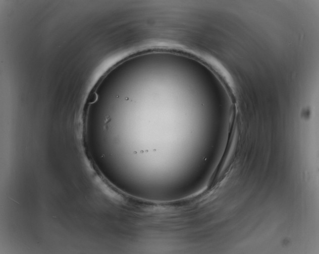 X0000102231287200807251226