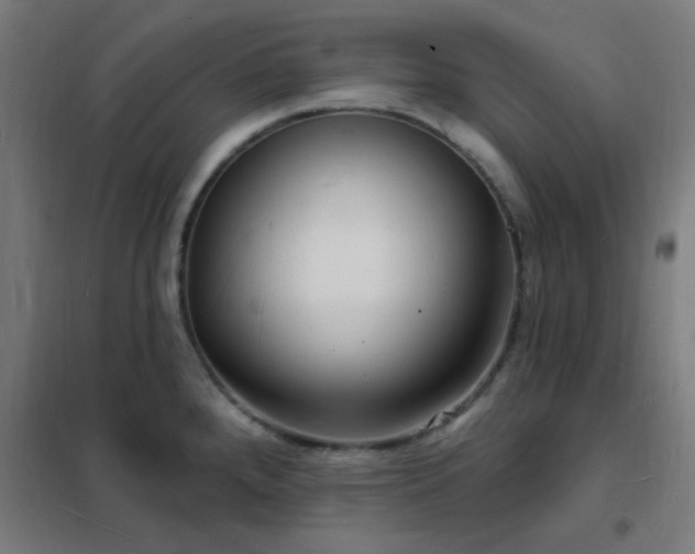 X0000102231288200807251226