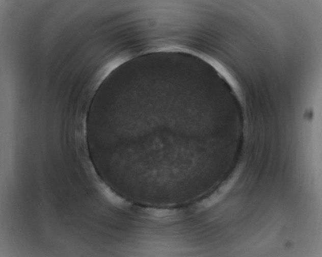 X0000102231289200807251226