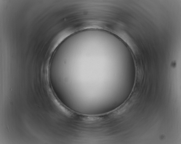X0000102231290200807251226