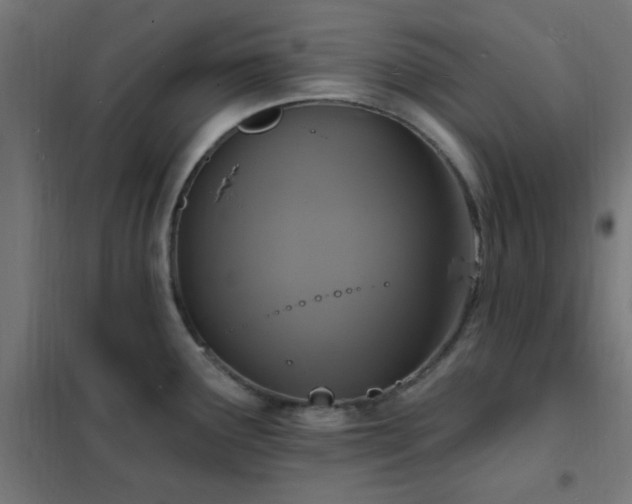 X0000102231291200807251226