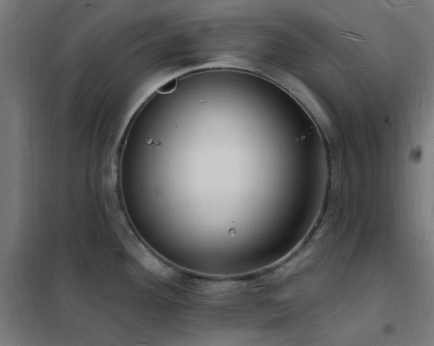 X0000102231292200807251226