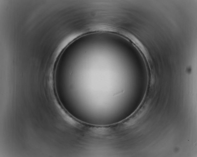 X0000102231293200807251226
