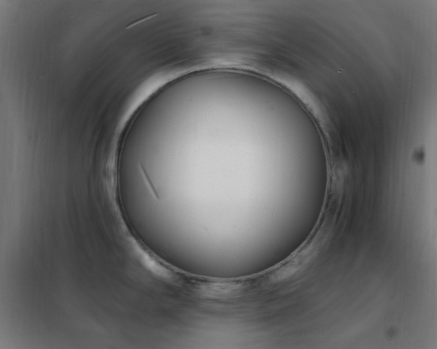 X0000102231294200807251226