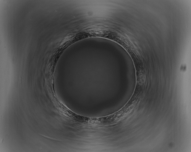 X0000102231297200807251225