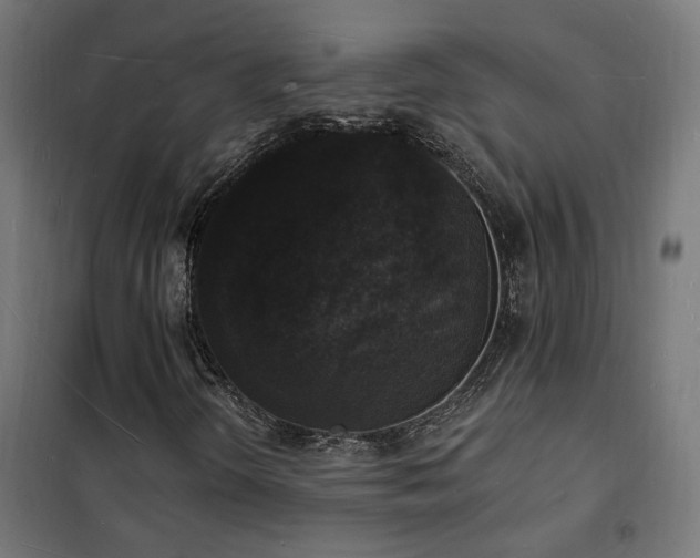 X0000102231298200807251225