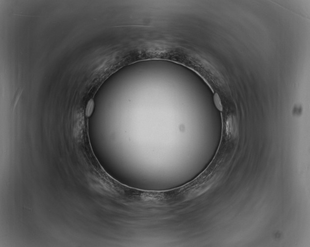X0000102231299200807251225