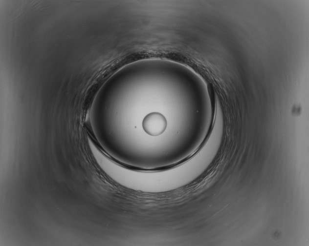 X0000102231300200807251225