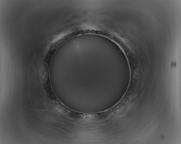 X0000102231303200807251225