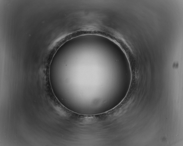 X0000102231304200807251225