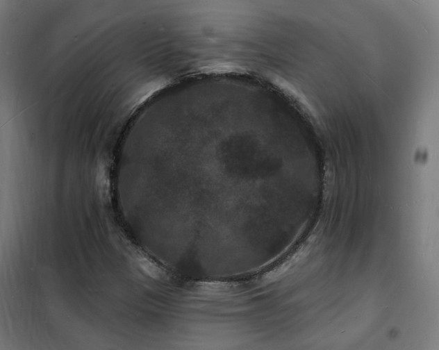 X0000102231305200807251225