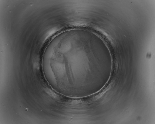 X0000102231306200807251225