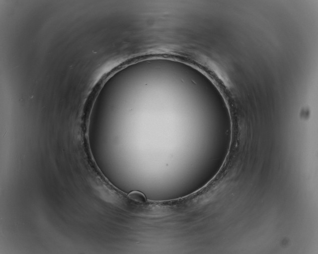 X0000102231308200807251225