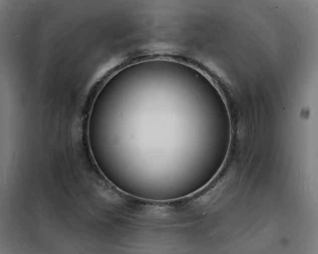 X0000102231309200807251225