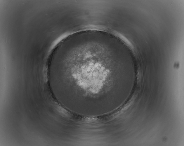X0000102231310200807251225