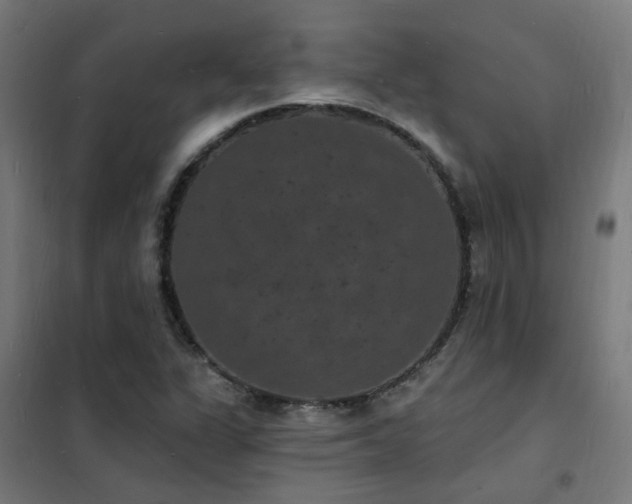 X0000102231311200807251225