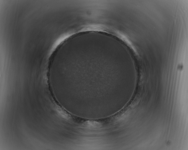 X0000102231312200807251225