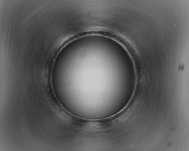 X0000102231313200807251225