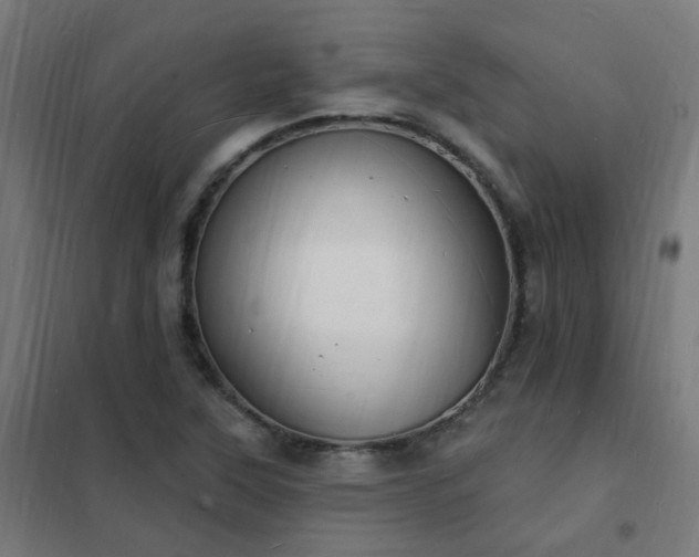 X0000102231315200807251226