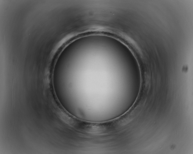 X0000102231318200807251226