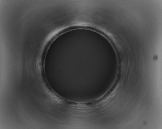 X0000102231319200807251226