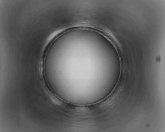 X0000102231320200807251226