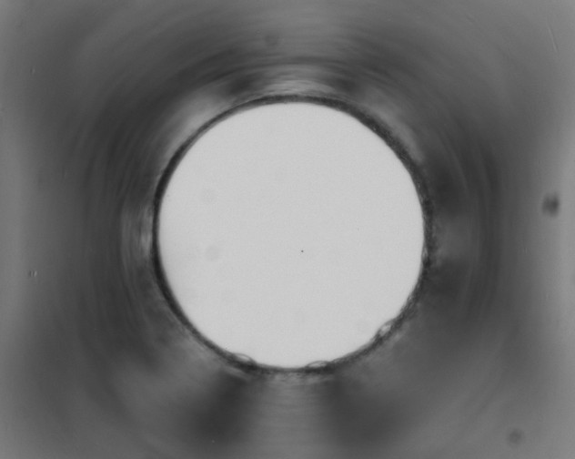 X0000102231322200807251226